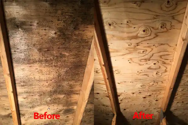 water damage restoration service Chesapeake City